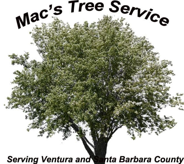 mac's tree service logo
